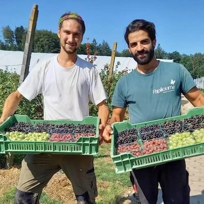 Tanière de la Broye-Frigourg